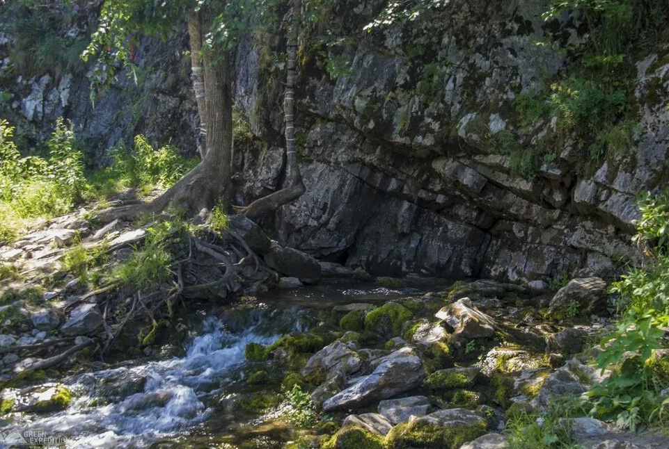 Родник "Грифон"